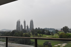 Skyline Residences (D4), Condominium #304497511